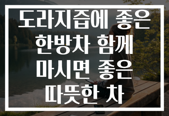도라지즙에 좋은 한방차 함께 마시면 좋은 따뜻한 차