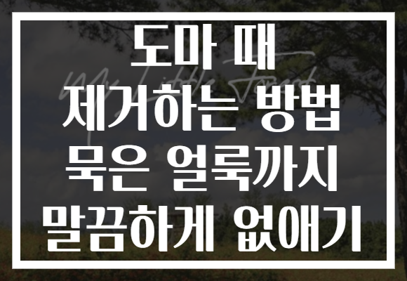 도마 때 제거하는 방법 묵은 얼룩까지 말끔하게 없애기