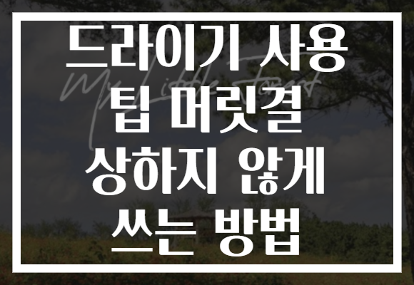드라이기 사용 팁 머릿결 상하지 않게 쓰는 방법