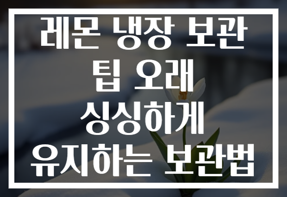 레몬 냉장 보관 팁 오래 싱싱하게 유지하는 보관법 레몬 냉장 보관 팁 오래 싱싱하게 유지하는 보관법