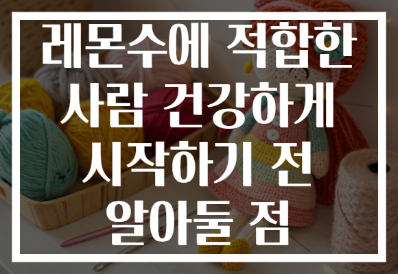 레몬수에 적합한 사람 건강하게 시작하기 전 알아둘 점 레몬수에 적합한 사람 건강하게 시작하기 전 알아둘 점