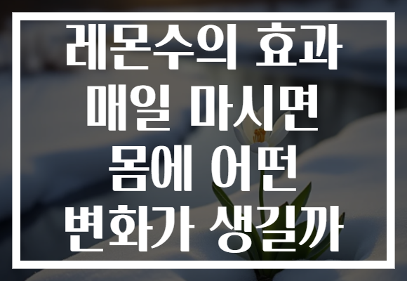 레몬수의 효과 매일 마시면 몸에 어떤 변화가 생길까 레몬수의 효과 매일 마시면 몸에 어떤 변화가 생길까