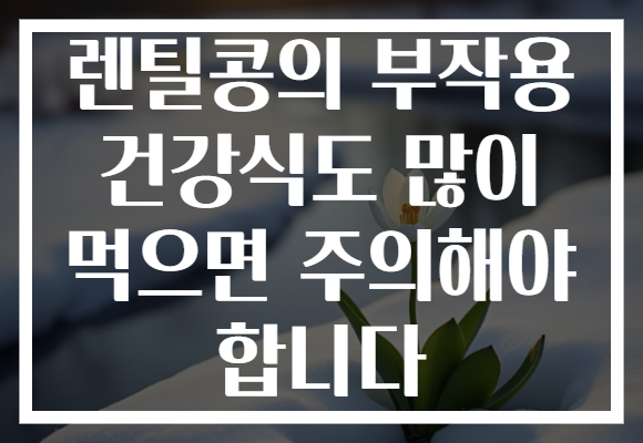 렌틸콩의 부작용 건강식도 많이 먹으면 주의해야 합니다 렌틸콩의 부작용 건강식도 많이 먹으면 주의해야 합니다