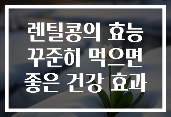 렌틸콩의 효능 꾸준히 먹으면 좋은 건강 효과 렌틸콩의 효능 꾸준히 먹으면 좋은 건강 효과