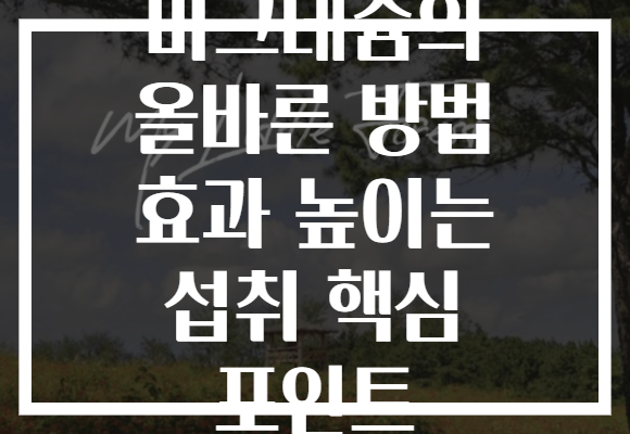 마그네슘의 올바른 방법 효과 높이는 섭취 핵심 포인트 마그네슘의 올바른 방법 효과 높이는 섭취 핵심 포인트
