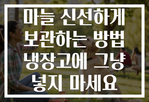 마늘 신선하게 보관하는 방법 냉장고에 그냥 넣지 마세요 마늘 신선하게 보관하는 방법 냉장고에 그냥 넣지 마세요