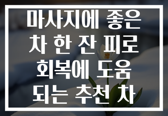 마사지에 좋은 차 한 잔 피로 회복에 도움 되는 추천 차 마사지에 좋은 차 한 잔 피로 회복에 도움 되는 추천 차