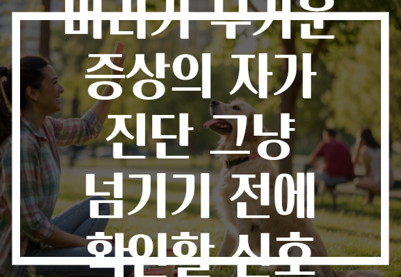 머리가 무거운 증상의 자가 진단 그냥 넘기기 전에 확인할 신호 머리가 무거운 증상의 자가 진단 그냥 넘기기 전에 확인할 신호