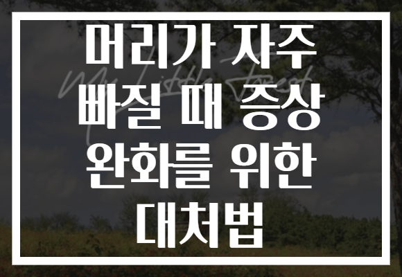 머리가 자주 빠질 때 증상 완화를 위한 대처법 머리가 자주 빠질 때 증상 완화를 위한 대처법
