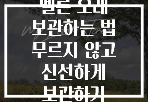 멜론 오래 보관하는 법 무르지 않고 신선하게 보관하기 멜론 오래 보관하는 법 무르지 않고 신선하게 보관하기