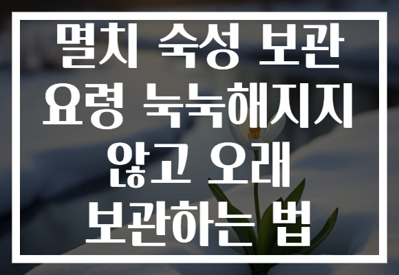 멸치 숙성 보관 요령 눅눅해지지 않고 오래 보관하는 법