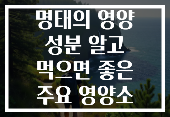 명태의 영양 성분 알고 먹으면 좋은 주요 영양소 명태의 영양 성분 알고 먹으면 좋은 주요 영양소