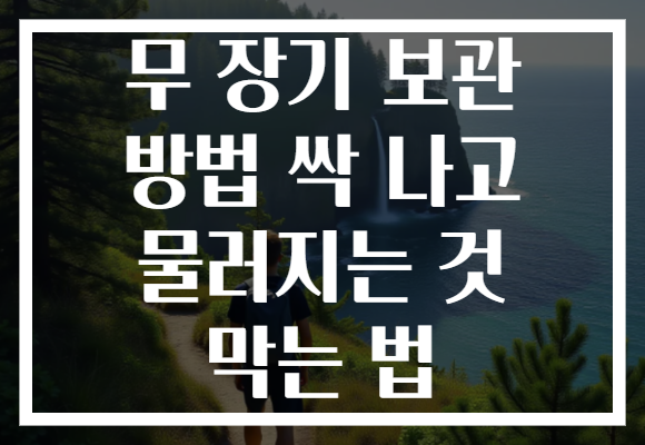 무 장기 보관 방법 싹 나고 물러지는 것 막는 법 무 장기 보관 방법 싹 나고 물러지는 것 막는 법