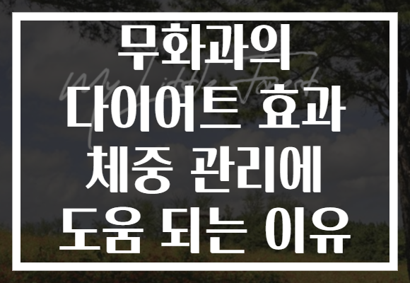 무화과의 다이어트 효과 체중 관리에 도움 되는 이유 무화과의 다이어트 효과 체중 관리에 도움 되는 이유