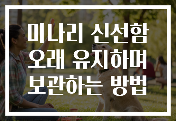 미나리 신선함 오래 유지하며 보관하는 방법 미나리 신선함 오래 유지하며 보관하는 방법