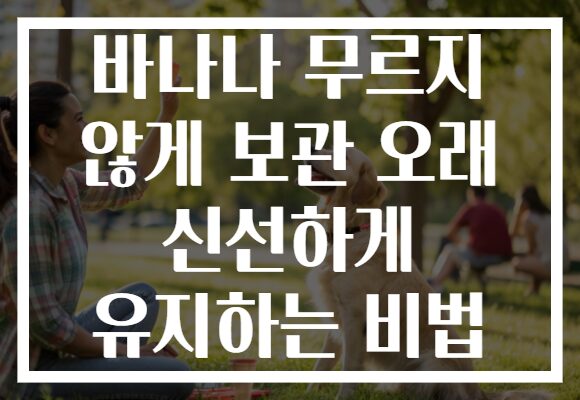 바나나 무르지 않게 보관 오래 신선하게 유지하는 비법 바나나 무르지 않게 보관 오래 신선하게 유지하는 비법