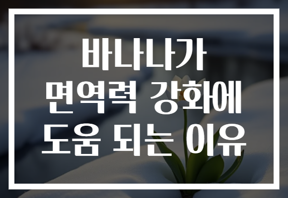 바나나가 면역력 강화에 도움 되는 이유 바나나가 면역력 강화에 도움 되는 이유