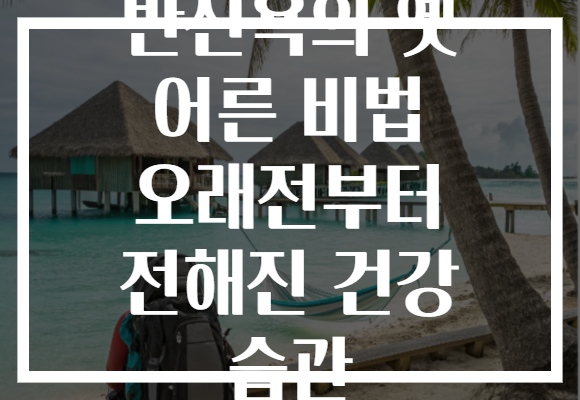 반신욕의 옛 어른 비법 오래전부터 전해진 건강 습관 반신욕의 옛 어른 비법 오래전부터 전해진 건강 습관