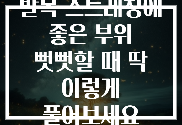 발목 스트레칭에 좋은 부위 뻣뻣할 때 딱 이렇게 풀어보세요 발목 스트레칭에 좋은 부위 뻣뻣할 때 딱 이렇게 풀어보세요