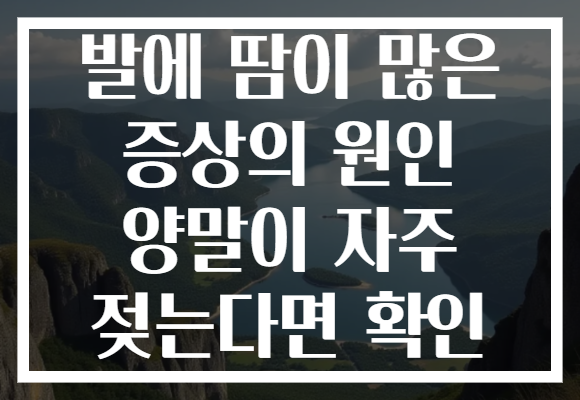 발에 땀이 많은 증상의 원인 양말이 자주 젖는다면 확인