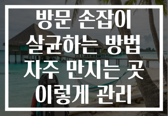 방문 손잡이 살균하는 방법 자주 만지는 곳 이렇게 관리 방문 손잡이 살균하는 방법 자주 만지는 곳 이렇게 관리