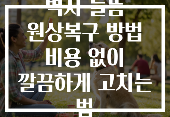 벽지 들뜸 원상복구 방법 비용 없이 깔끔하게 고치는 법 벽지 들뜸 원상복구 방법 비용 없이 깔끔하게 고치는 법