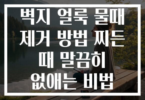 벽지 얼룩 물때 제거 방법 찌든 때 말끔히 없애는 비법 벽지 얼룩 물때 제거 방법 찌든 때 말끔히 없애는 비법