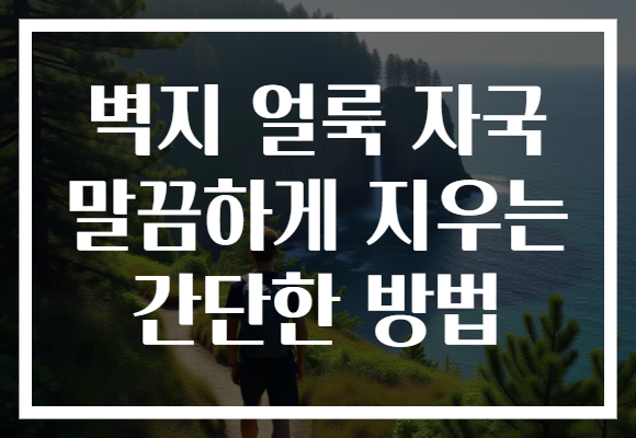 벽지 얼룩 자국 말끔하게 지우는 간단한 방법 벽지 얼룩 자국 말끔하게 지우는 간단한 방법