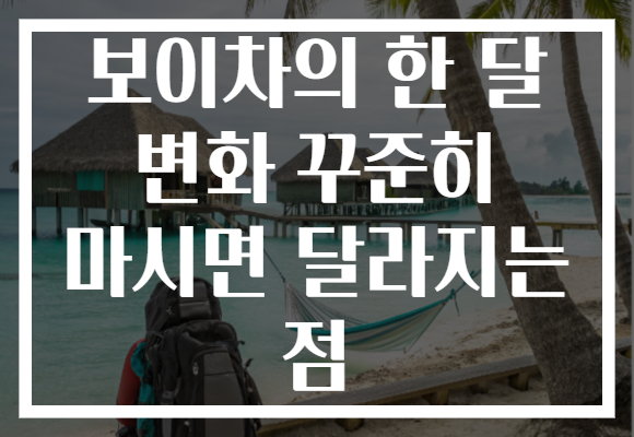 보이차의 한 달 변화 꾸준히 마시면 달라지는 점
