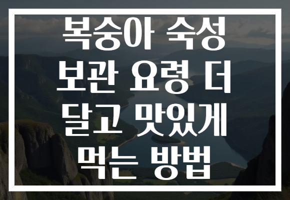 복숭아 숙성 보관 요령 더 달고 맛있게 먹는 방법 복숭아 숙성 보관 요령 더 달고 맛있게 먹는 방법