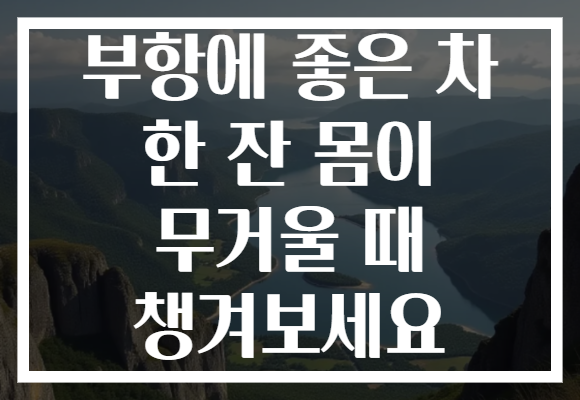 부항에 좋은 차 한 잔 몸이 무거울 때 챙겨보세요