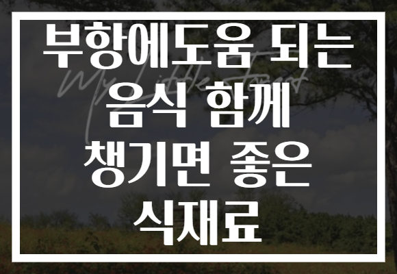 부항에도움 되는 음식 함께 챙기면 좋은 식재료 부항에도움 되는 음식 함께 챙기면 좋은 식재료