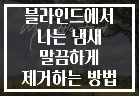 블라인드에서 나는 냄새 말끔하게 제거하는 방법 블라인드에서 나는 냄새 말끔하게 제거하는 방법