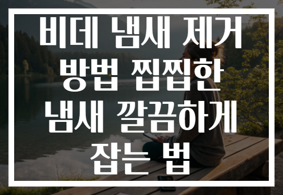 비데 냄새 제거 방법 찝찝한 냄새 깔끔하게 잡는 법 비데 냄새 제거 방법 찝찝한 냄새 깔끔하게 잡는 법