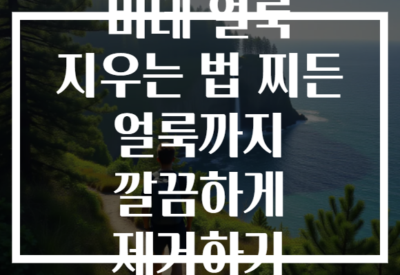 비데 얼룩 지우는 법 찌든 얼룩까지 깔끔하게 제거하기 비데 얼룩 지우는 법 찌든 얼룩까지 깔끔하게 제거하기