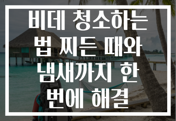 비데 청소하는 법 찌든 때와 냄새까지 한 번에 해결