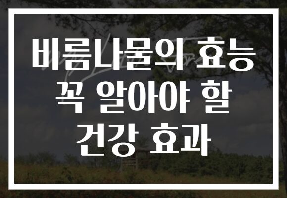 비름나물의 효능 꼭 알아야 할 건강 효과 비름나물의 효능 꼭 알아야 할 건강 효과