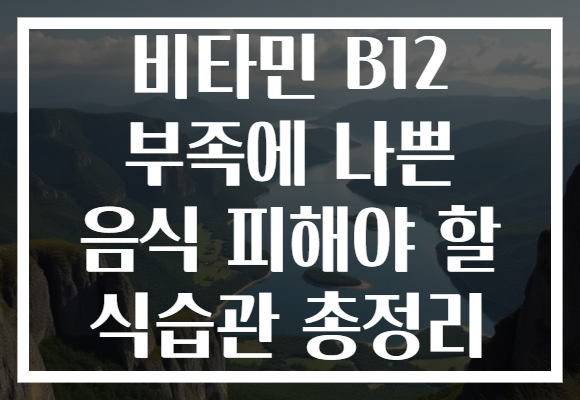 비타민 B12 부족에 나쁜 음식 피해야 할 식습관 총정리 비타민 B12 부족에 나쁜 음식 피해야 할 식습관 총정리