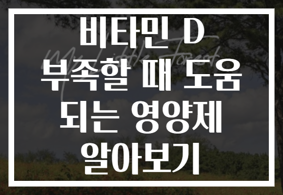 비타민 D 부족할 때 도움 되는 영양제 알아보기