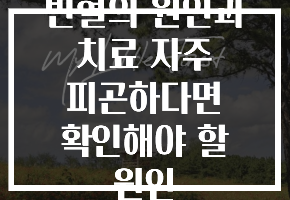빈혈의 원인과 치료 자주 피곤하다면 확인해야 할 원인 빈혈의 원인과 치료 자주 피곤하다면 확인해야 할 원인