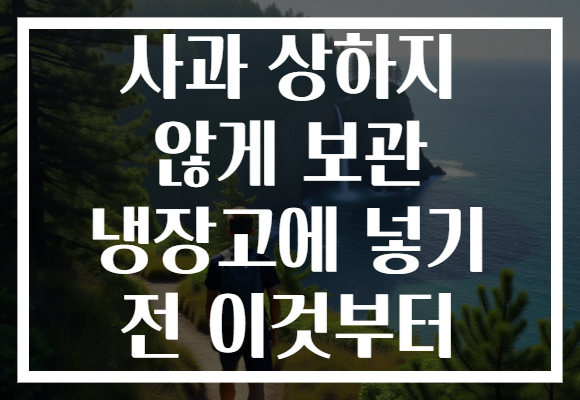 사과 상하지 않게 보관 냉장고에 넣기 전 이것부터 사과 상하지 않게 보관 냉장고에 넣기 전 이것부터