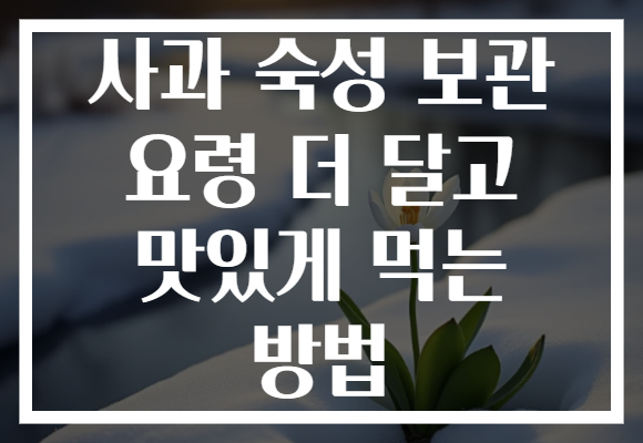 사과 숙성 보관 요령 더 달고 맛있게 먹는 방법