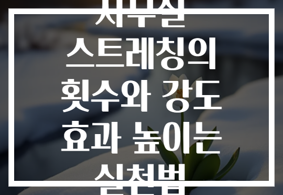 사무실 스트레칭의 횟수와 강도 효과 높이는 실천법 사무실 스트레칭의 횟수와 강도 효과 높이는 실천법