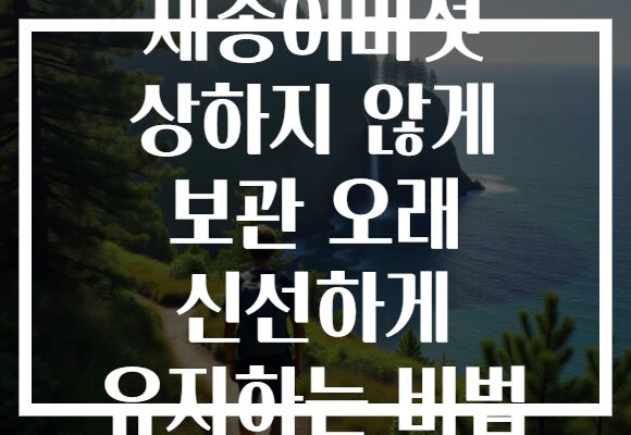 새송이버섯 상하지 않게 보관 오래 신선하게 유지하는 비법 새송이버섯 상하지 않게 보관 오래 신선하게 유지하는 비법