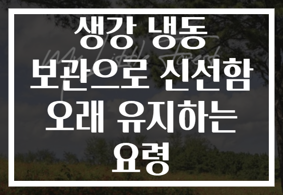 생강 냉동 보관으로 신선함 오래 유지하는 요령