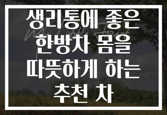 생리통에 좋은 한방차 몸을 따뜻하게 하는 추천 차 생리통에 좋은 한방차 몸을 따뜻하게 하는 추천 차