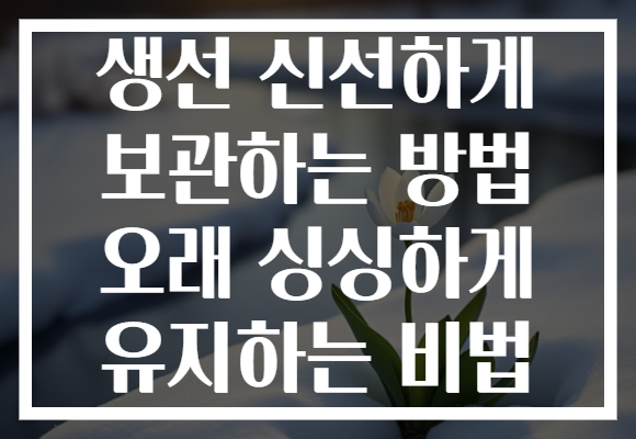 생선 신선하게 보관하는 방법 오래 싱싱하게 유지하는 비법 생선 신선하게 보관하는 방법 오래 싱싱하게 유지하는 비법
