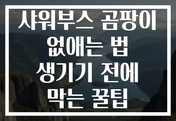 샤워부스 곰팡이 없애는 법 생기기 전에 막는 꿀팁