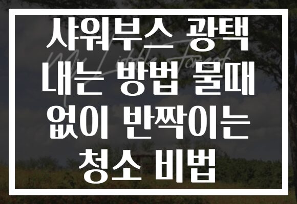샤워부스 광택 내는 방법 물때 없이 반짝이는 청소 비법 샤워부스 광택 내는 방법 물때 없이 반짝이는 청소 비법
