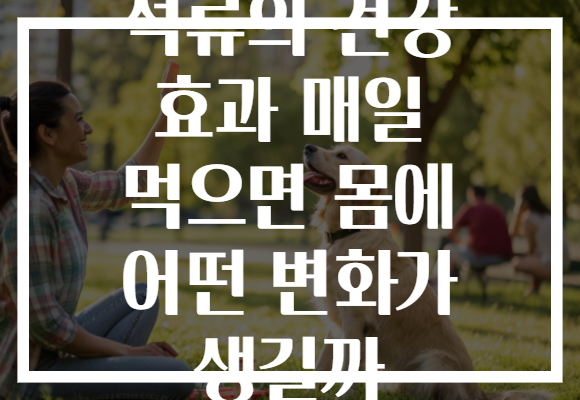 석류의 건강 효과 매일 먹으면 몸에 어떤 변화가 생길까 석류의 건강 효과 매일 먹으면 몸에 어떤 변화가 생길까